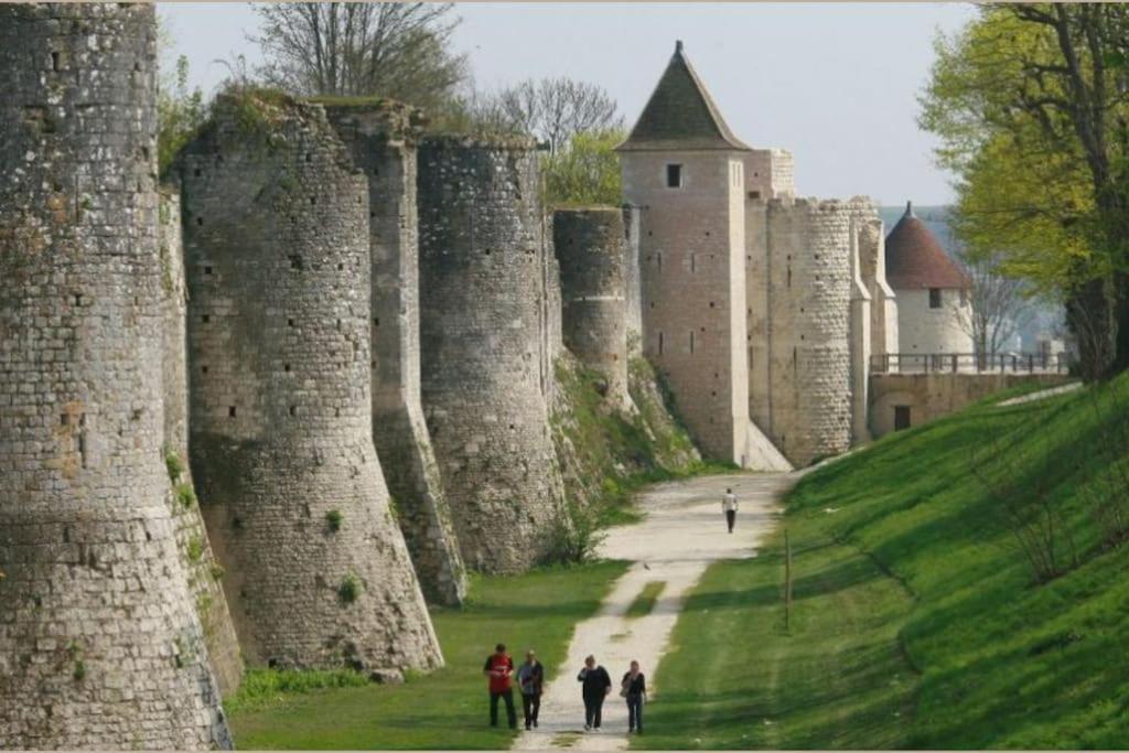 Maison De Ville, Centre De Provins Exterior foto